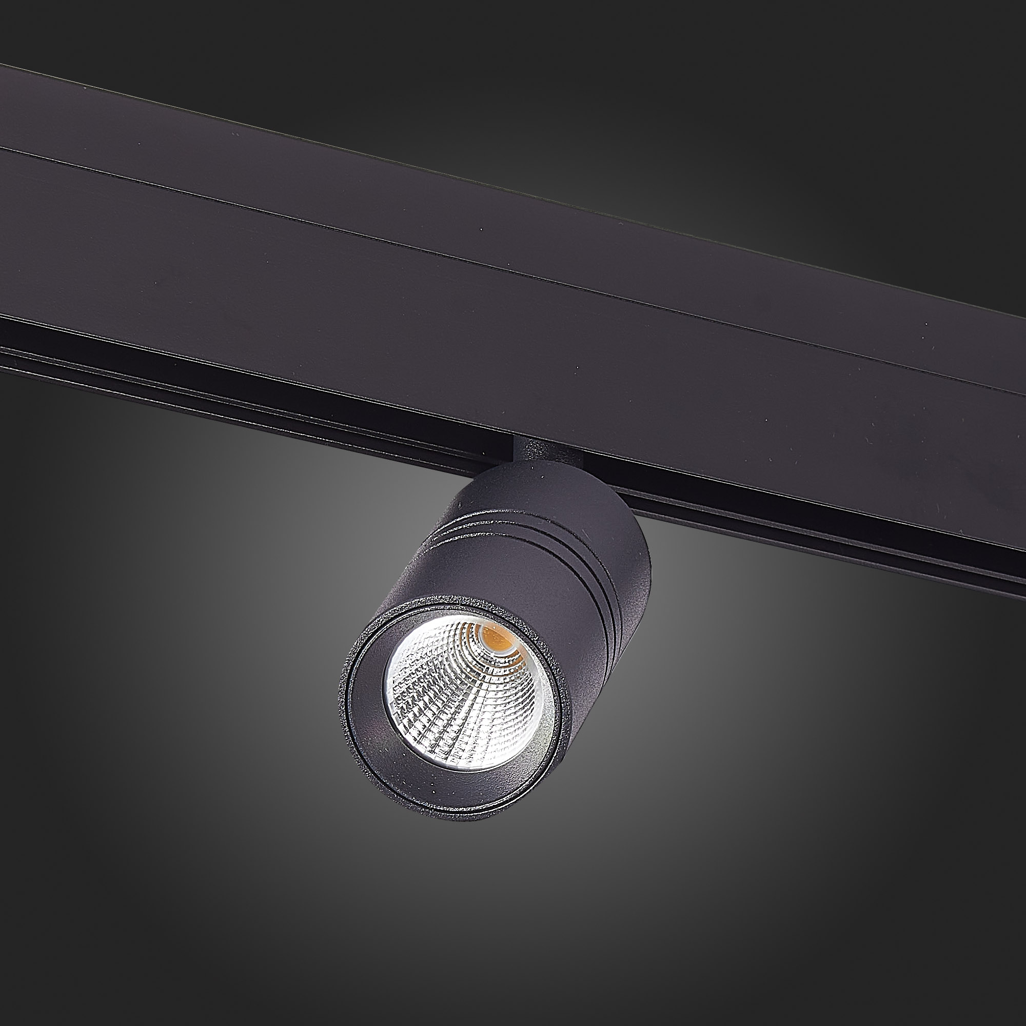 Трековый светильник ST Luce Lemmi ST365.436.07