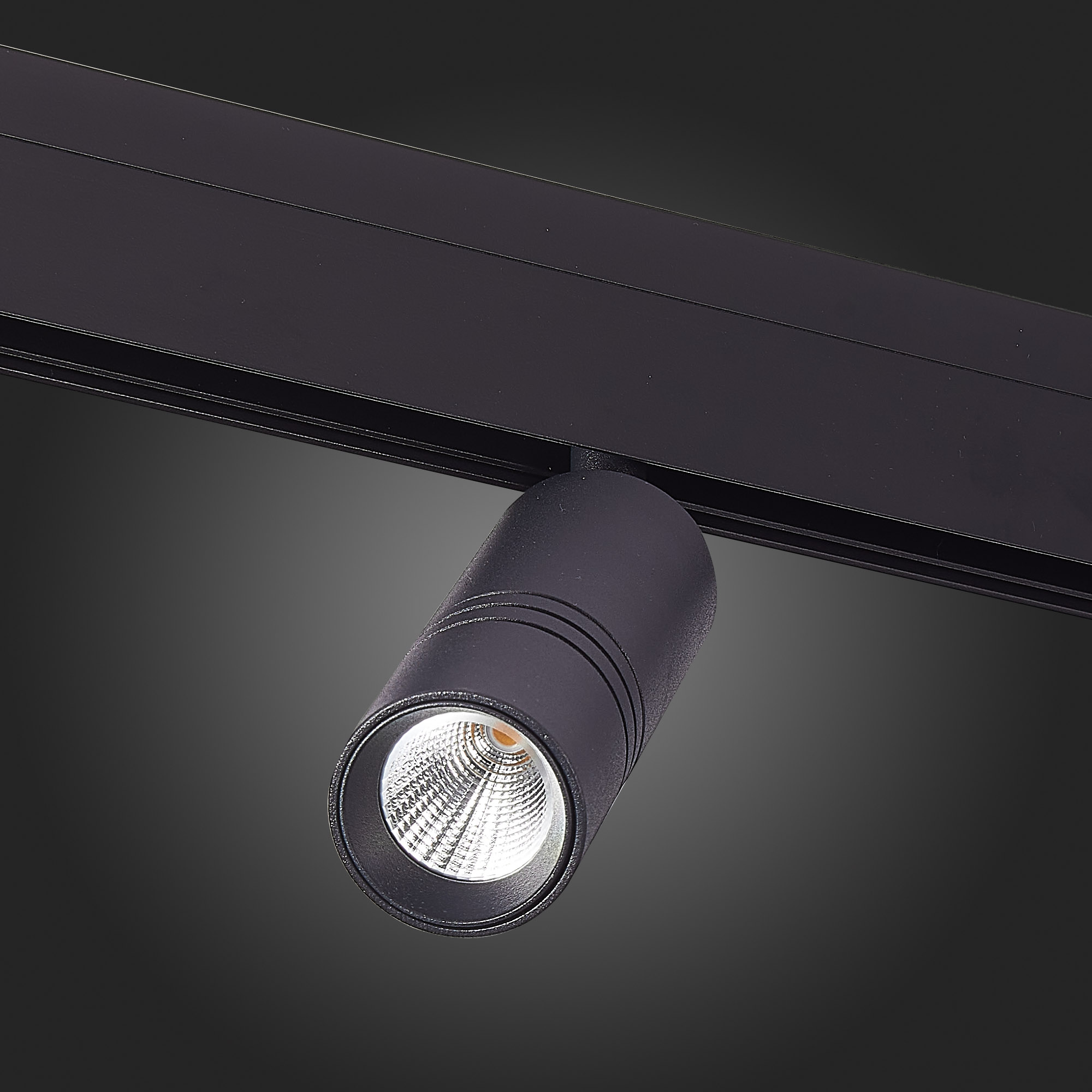 Трековый светильник ST Luce Lemmi ST365.436.12