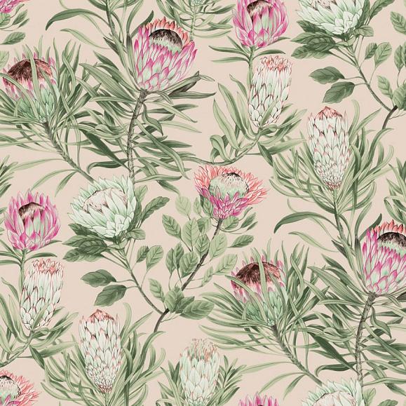 Обои York BL1751 Protea Blush