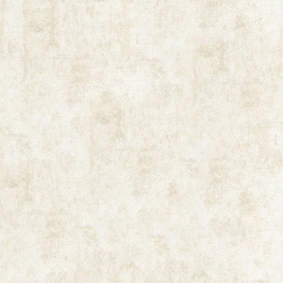 B1181101