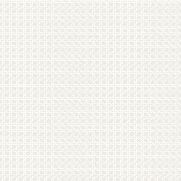 Обои Paper&Ink BL70917 Wicker Navy