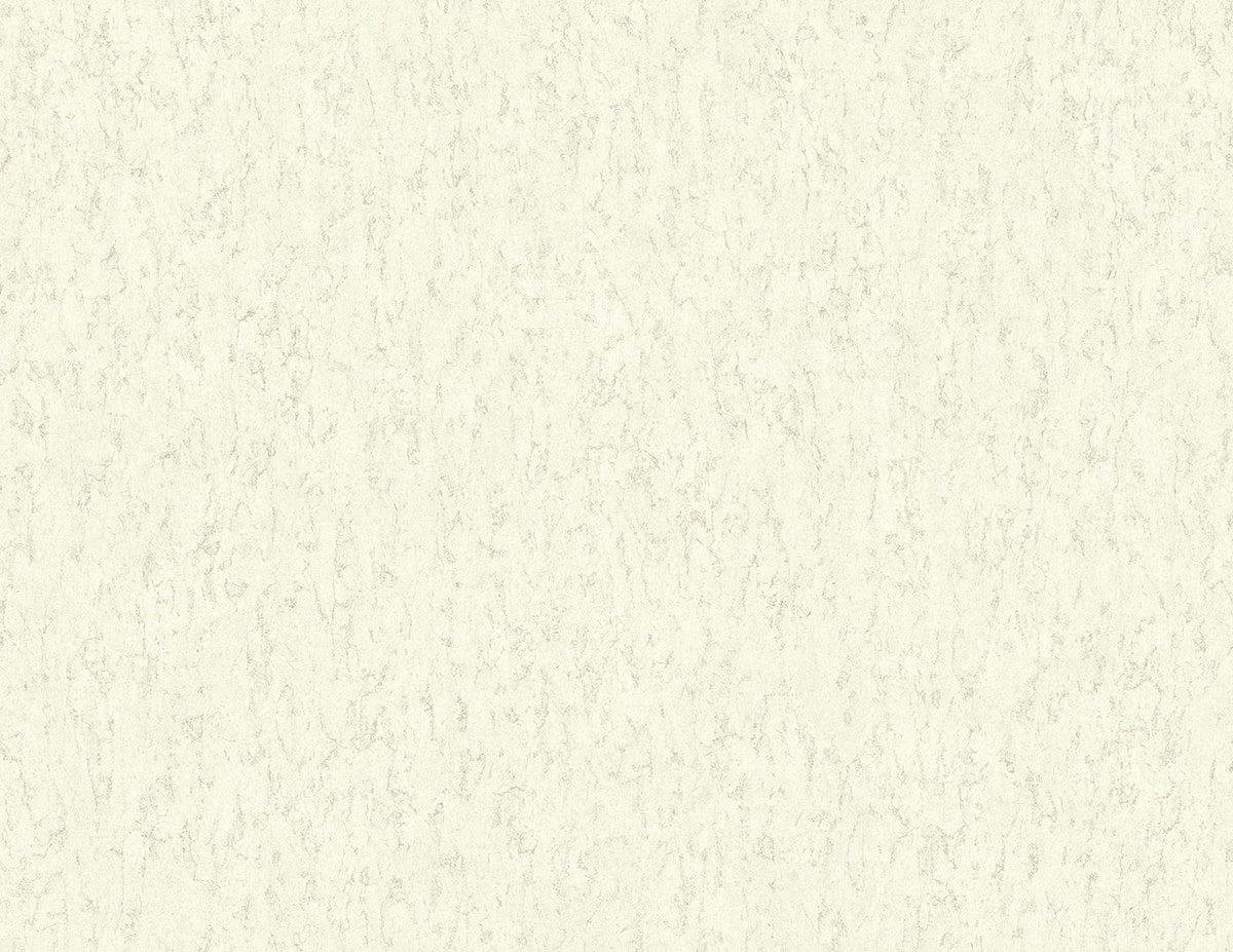 RC10024