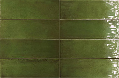 EQUIPE FANGO Green Gloss