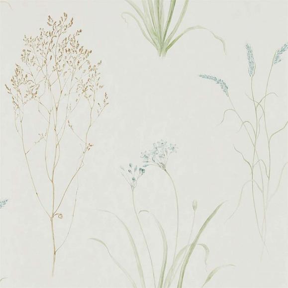 Обои Sanderson 216486 Farne Grasses Cream/Sage