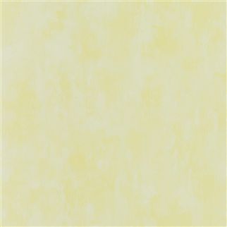 обои Designers guild PDG719/33 Parchment Alchemilla
