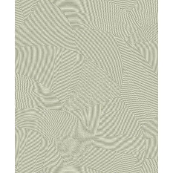 Обои Caselio 106067000 Terra Vert sauge