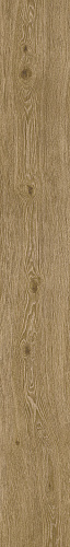 ATLAS CONCORDE RUSSIA WINE OAK / ВАЙН ОАК Cabernet