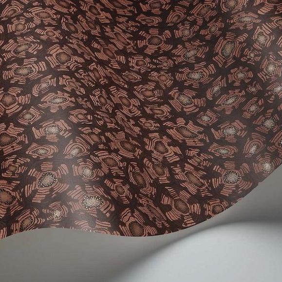 Обои Cole & Son 119/4018 Savanna Shell