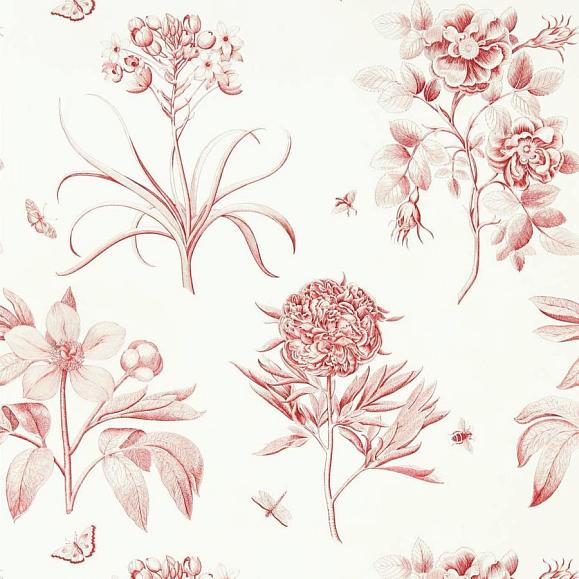 Обои Sanderson 217054 Etchings & Roses Amanpuri Red