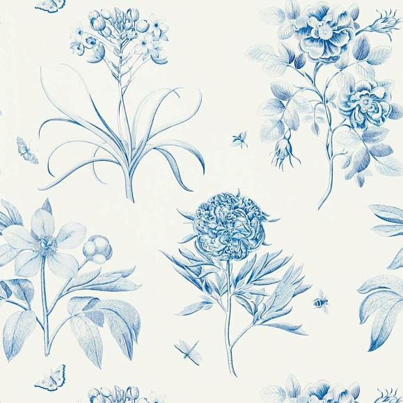Обои Sanderson 217052 Etchings & Roses China Blue