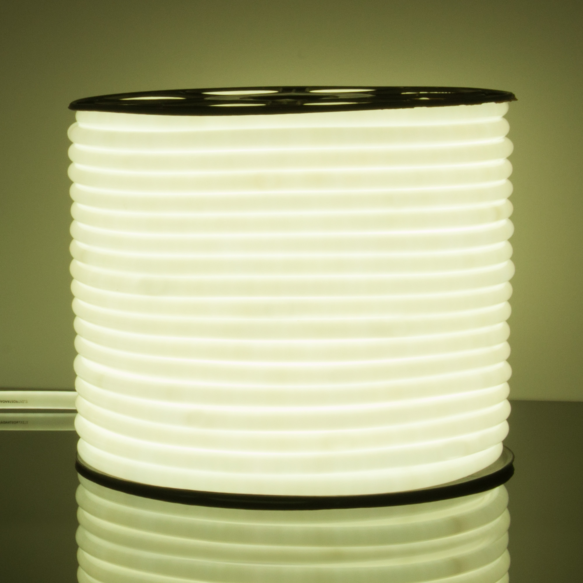 Светодиодный гибкий неон Elektrostandard 220V 9,6W 144Led 2835 IP67 круглый холодный белый, 50 м 4690389134692 a043547