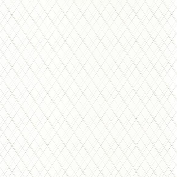 Обои Casadeco SWHT84130206 Oliver Blanc/Taupe