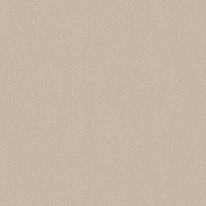 Z54523