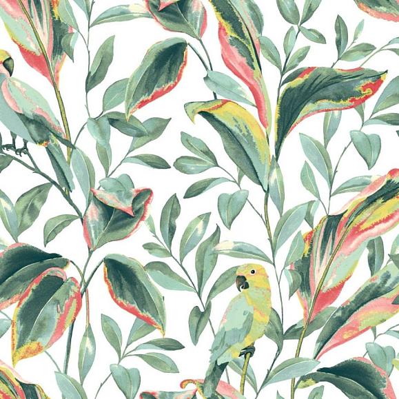 Обои York TC2653 Tropical Love Birds White/Coral