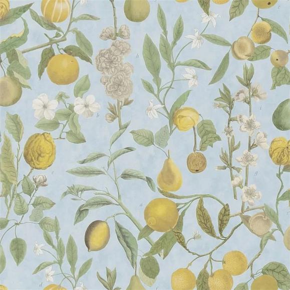 Обои John Derian PJD6018/02 Orchard Fruits Sky Blue