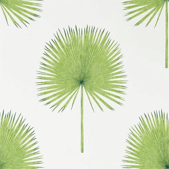Обои Sanderson 216636 Fan Palm Botanical Green