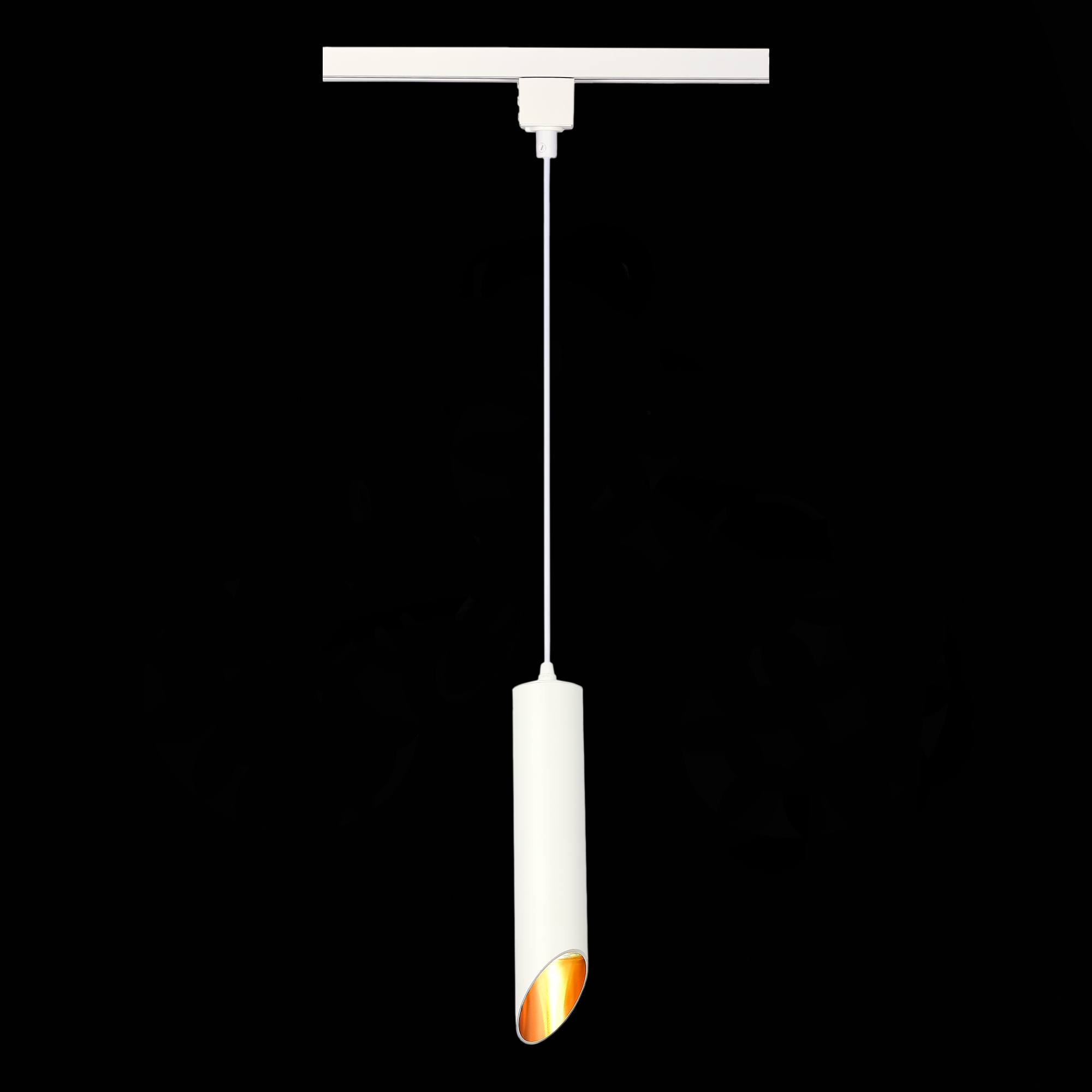 Трековый однофазный светильник ST Luce ST152.506.01