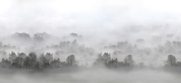 Панно Hygge Wall H10801 Mystery Fog