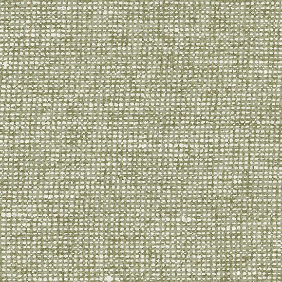 Обои Arte 91511C Chanderi Pistachio