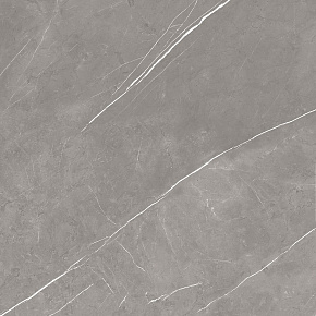 ATLAS CONCORDE RUSSIA FORTE DEI MARMI / ФОРТЕ ДЕЙ МАРМИ Elegant Grey Матовая