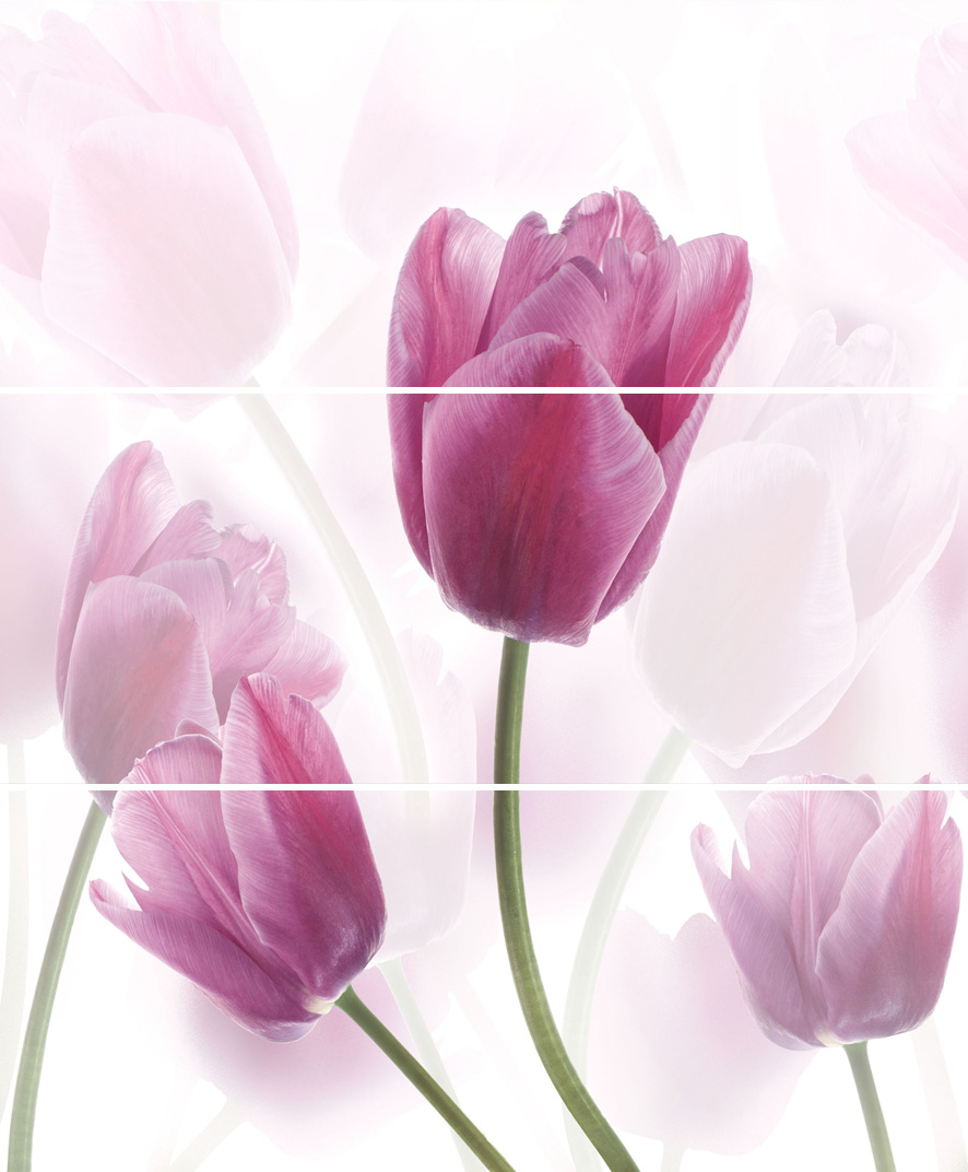 Tulipany-3 (панно)