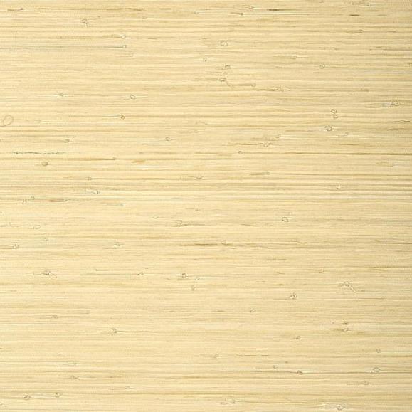 Обои Thibaut T24065 Raffia Palm Natural