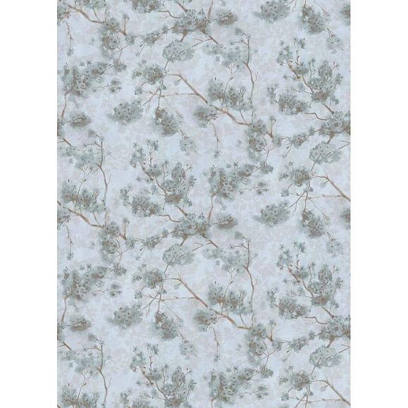 Обои Astratonova ² V-Lil-02 Lilac flowering Colony blue02