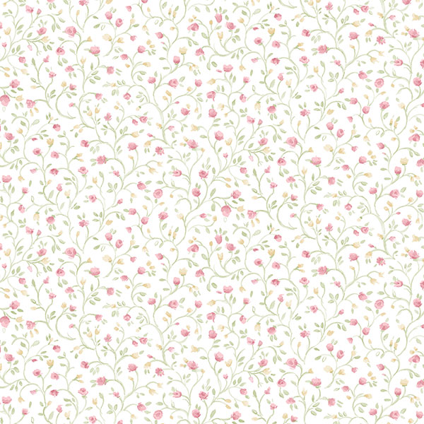 PP35537