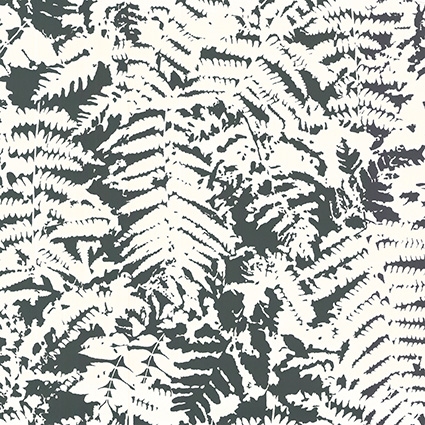 Обои Little Greene 0280FEOFFBL Fern OFF BLACK