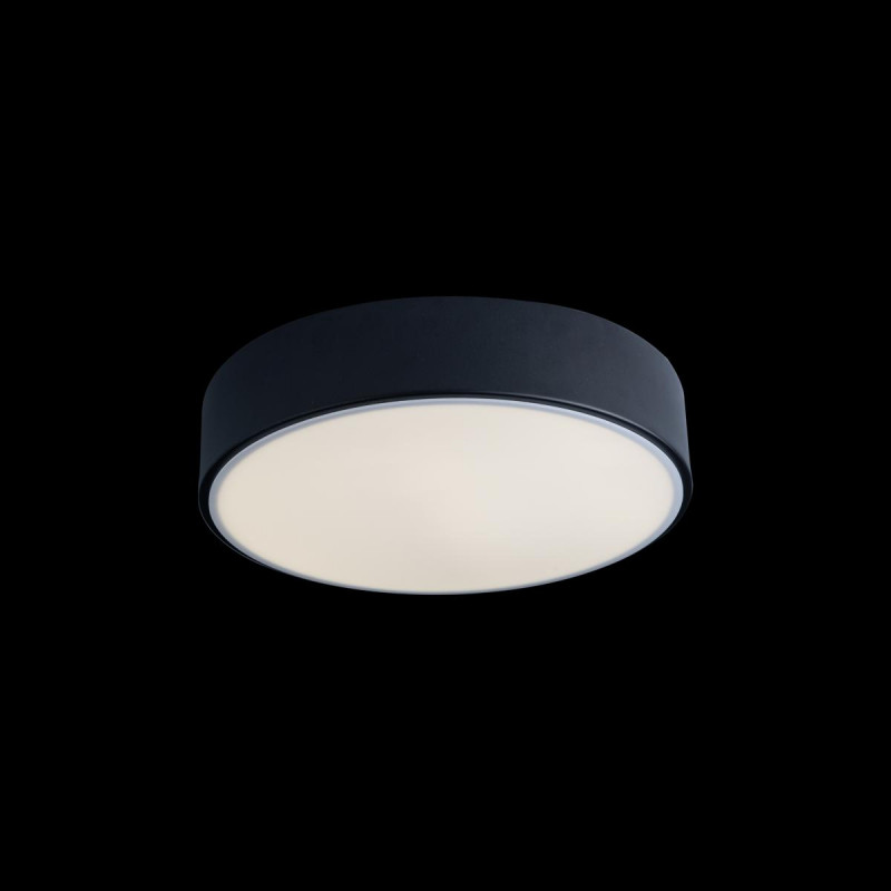 Потолочный светильник Loft IT AXEL 10002/12 Black