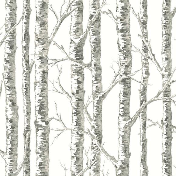 Обои York BW3901 Paper Birch Neutral
