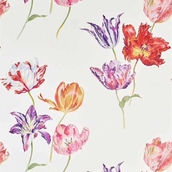 Обои Sanderson 216666 Tulipomania Botanical