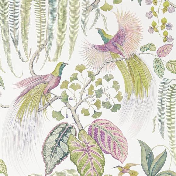 Обои Sanderson 216654 Bird of Paradise Orchid