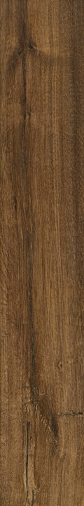 Root Nocciola