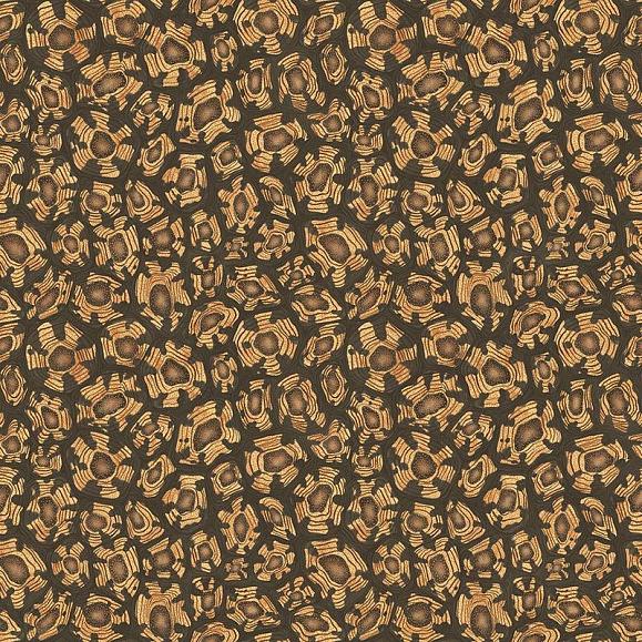 Обои Cole & Son 119/4019 Savanna Shell