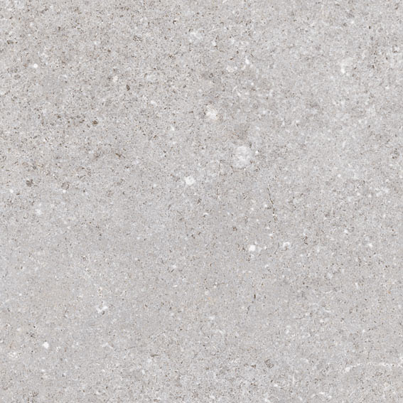 Nassau Gris