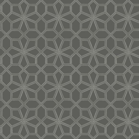 Обои Cole & Son 118/16037 Wolsey Stars Chalk on Charcoal