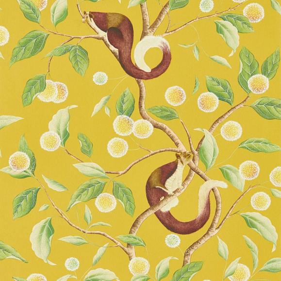 Обои Harlequin 112905 Nellie Honey/Meadow