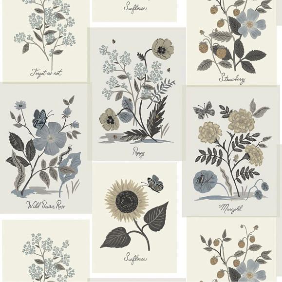 Обои York RP7336 Botanical Prints Linen