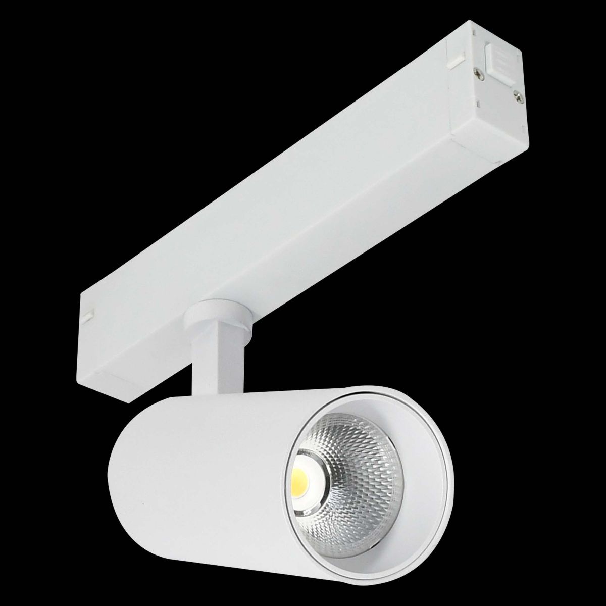 Трековый светильник ST Luce Skyline 220 Smart ST660.596.20H