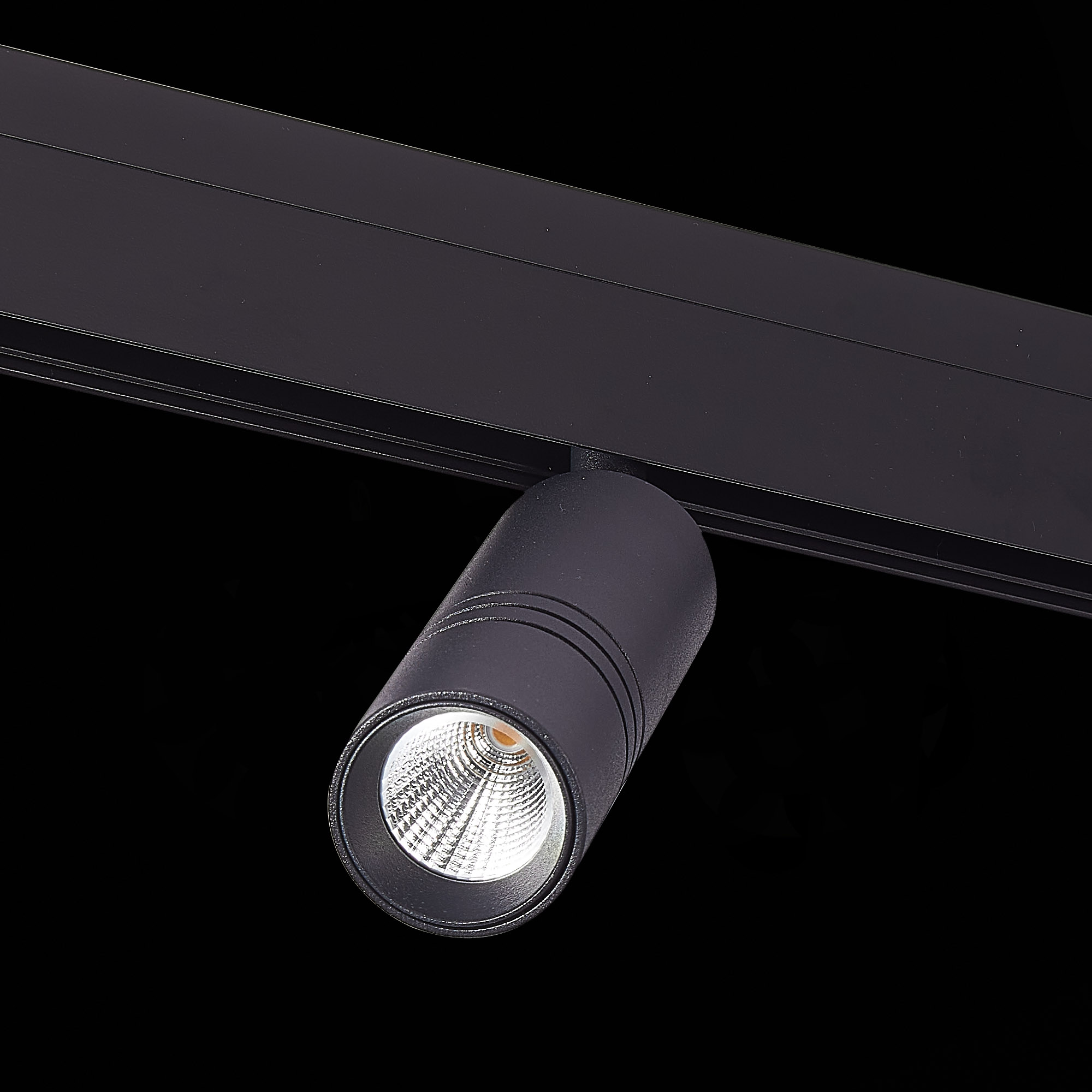 Трековый светильник ST Luce Lemmi ST365.446.12