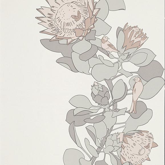 Обои Paint & Paper Library 0393PTSALTZ Protea Trail Salt