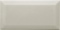 Biselado PB Silver Mist 10x20 ADNE2052