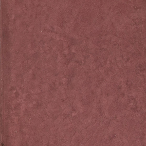 Prugna (20х20)