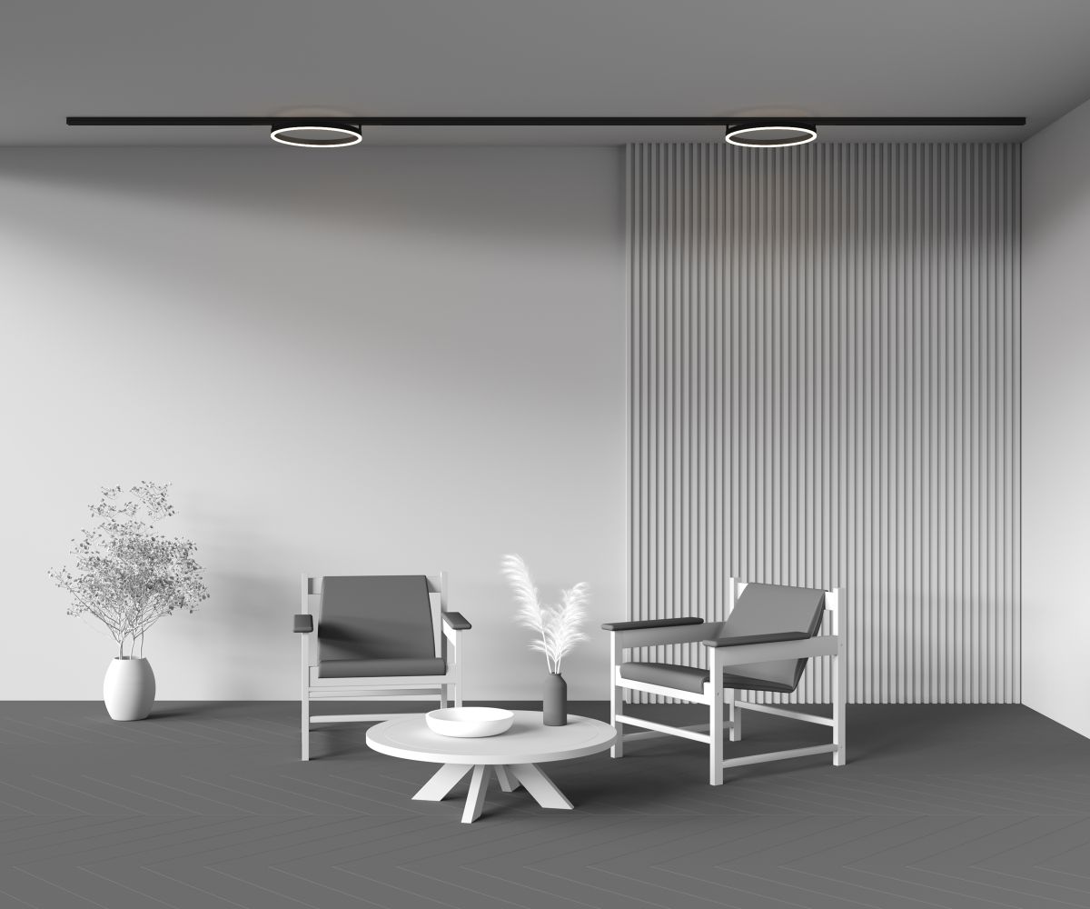 Трековый магнитный светильник Maytoni Rim TR227-2-24W3K-B