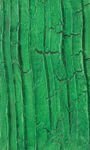 CORTECCIA_572