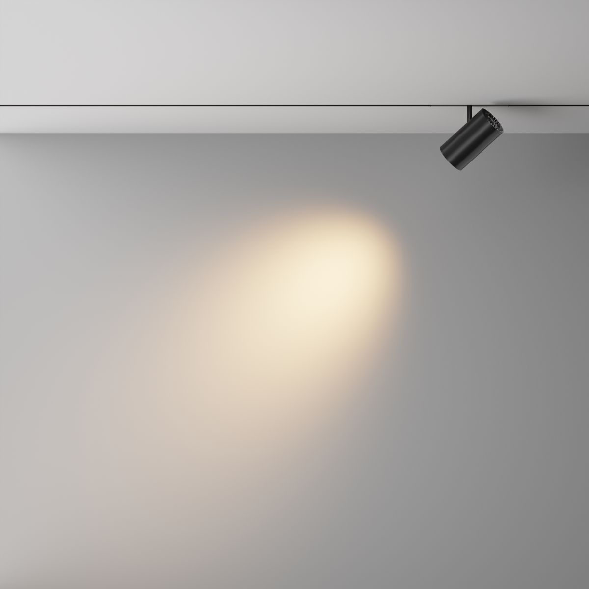 Трековый магнитный светильник Maytoni Technical Focus Led Exility X TR243-4-18WTW-DSZ-B