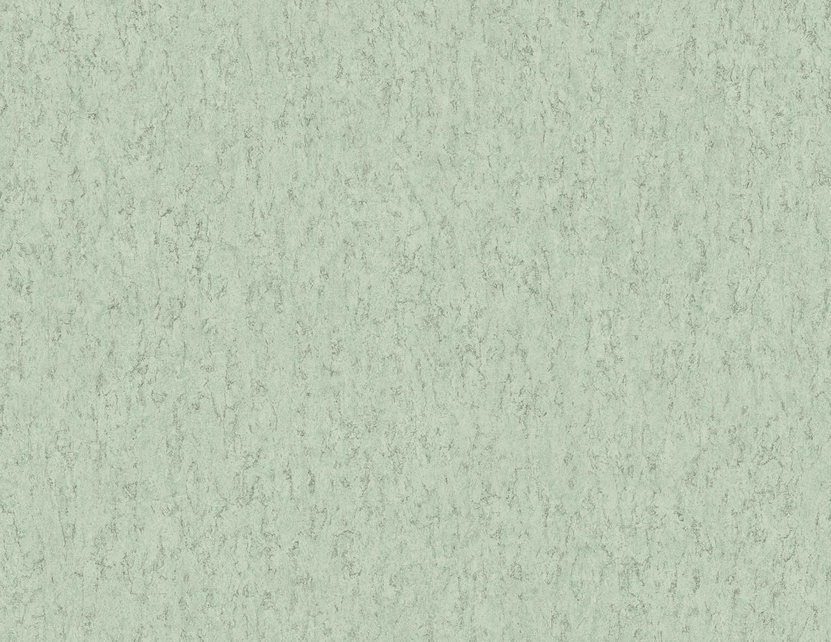 RC10004