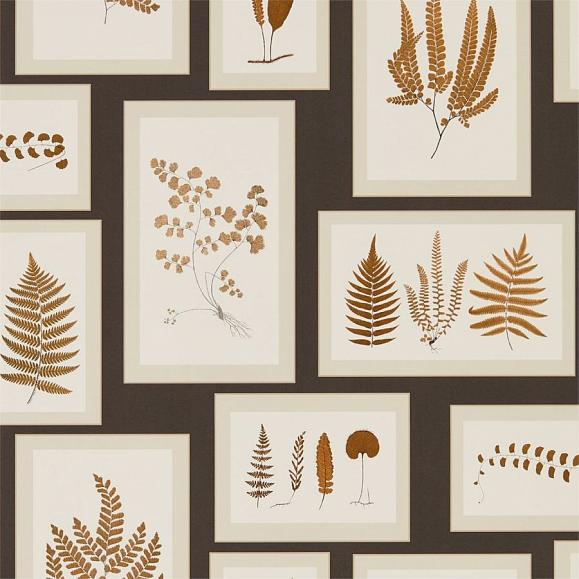 Обои Sanderson 215713 Fern Gallery Charcoal/Spice