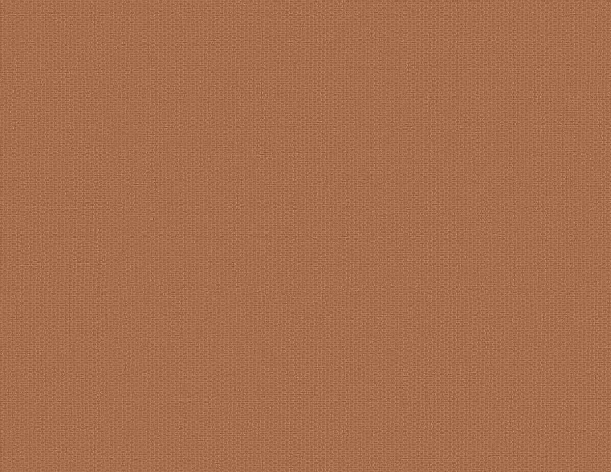 RC10836